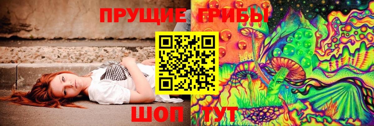Знаменск  купить закладку  Вход с VPN  Псилоцибиновые грибы прущие грибы 